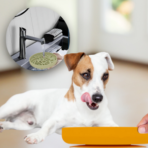 Silicone Slow Feeder Dog Bowl - Perfect for Treats & Meals Silicone Slow Feeder Dog Bowl - Perfect for Treats & Meals