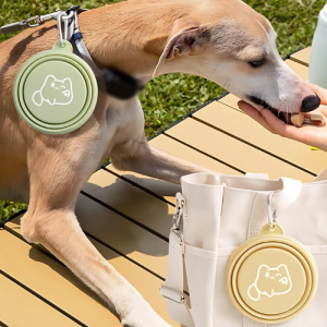 Dog outdoors eating a treat while wearing a leash with a green collapsible bowl; beige bowl clipped to a white bag nearby.