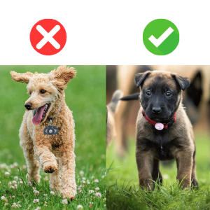 Airtag Dog Collar Holder – Soft Silicone Case for Apple Airtag, Fits Dog & Cat Collars