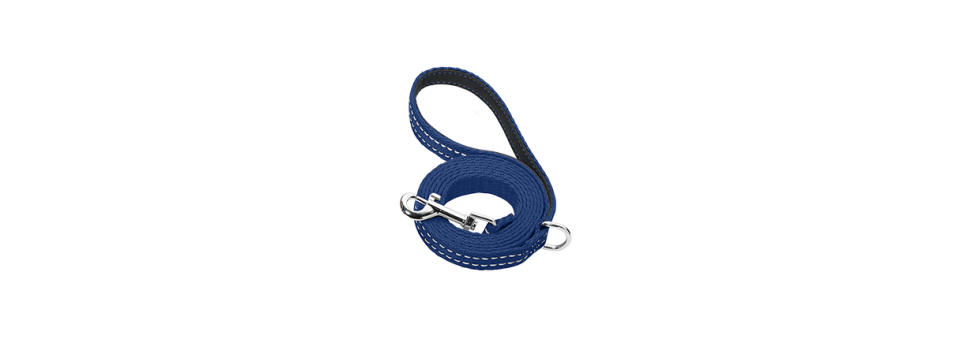 Dog Leads - Dogtags.co.nz
