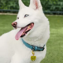 Luxury Heart Gold Dog Tag