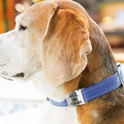 Slide On Silver Dog Tag